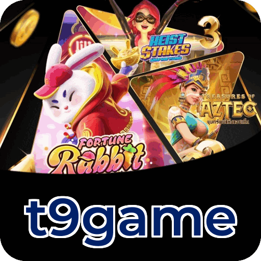 Dealers profissionais da t9game